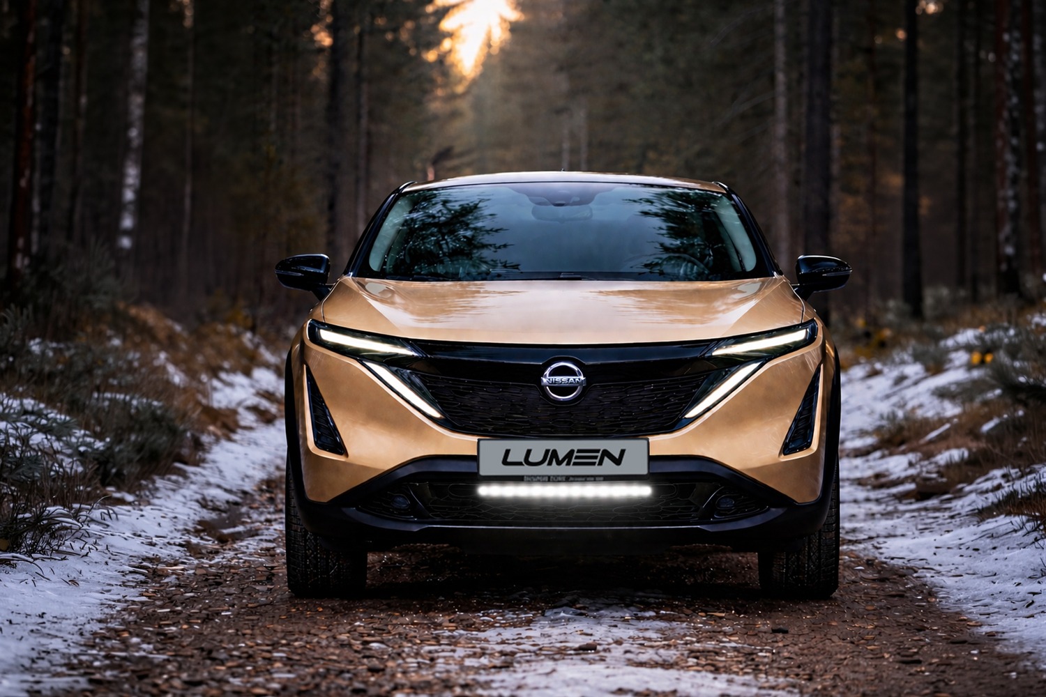 Lumen Nissan Ariya (Lumen Helios Performance CS20)